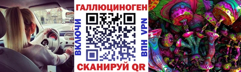 блэк спрут ONION Волжский Псилоцибиновые грибы Psilocybe