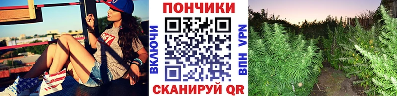 Бошки Шишки план сколько стоит Волжский